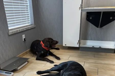 Red Bluff Animal Hospital