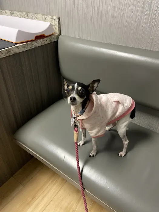 Red Bluff Animal Hospital 12