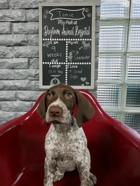 Baytown Animal Hospital 7