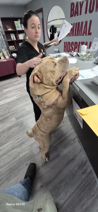 Baytown Animal Hospital 3