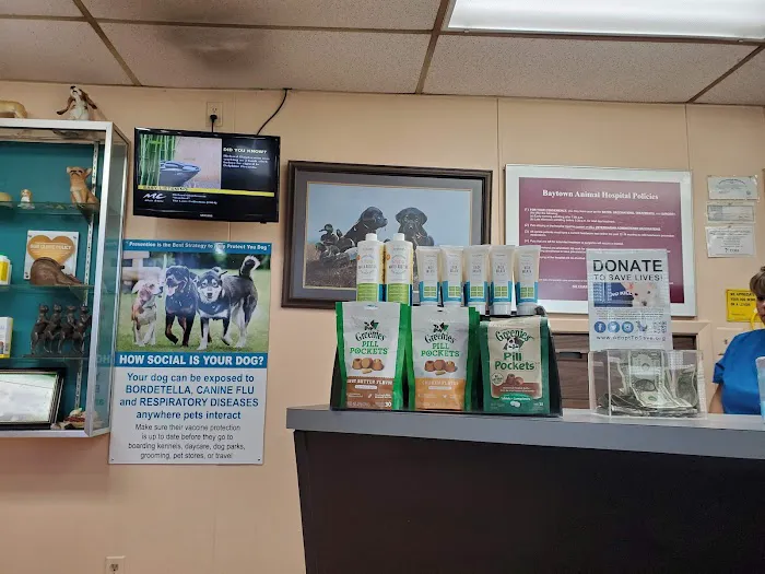 Baytown Animal Hospital 2