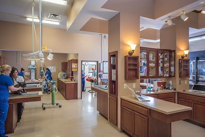 Atascocita Animal Hospital 12