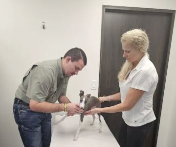 Eden's Holistic Veterinary Team