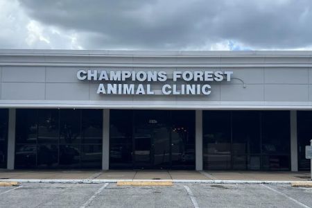 Champions Forest Animal Clinic
