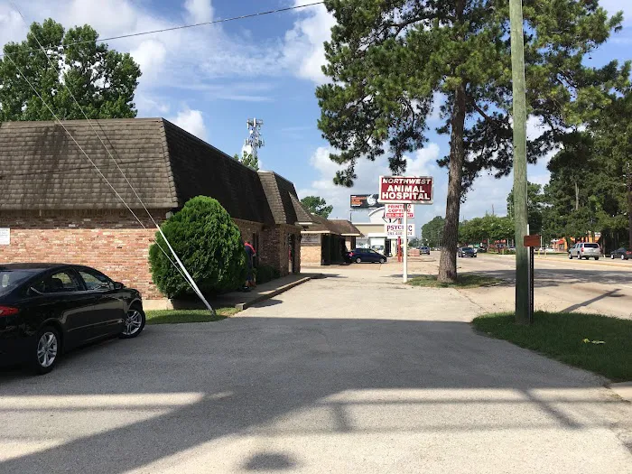 Northwest Animal Hospital 12
