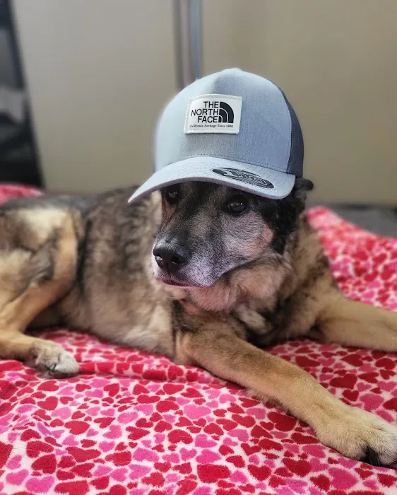 Northwest Animal Hospital 12