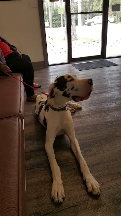 Northwest Animal Hospital 12