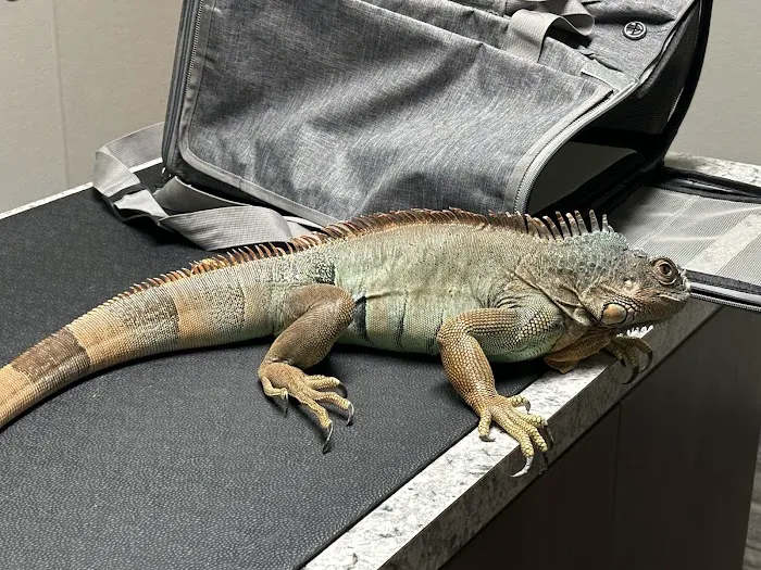 Northwest Animal Hospital 12