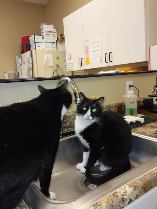 Grasshoff Veterinary Clinic 12