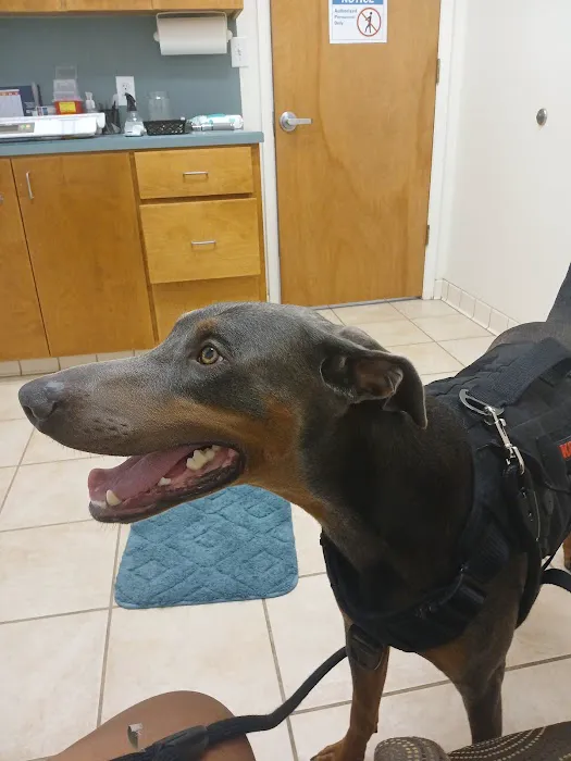 FM 1960 Animal Hospital 12