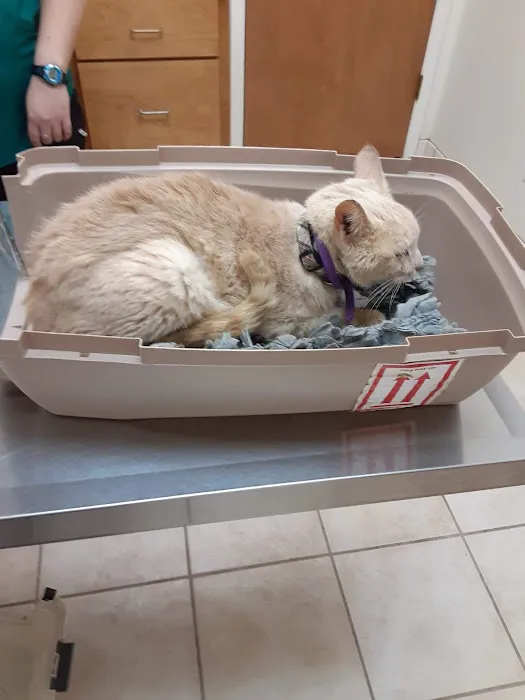 FM 1960 Animal Hospital 12