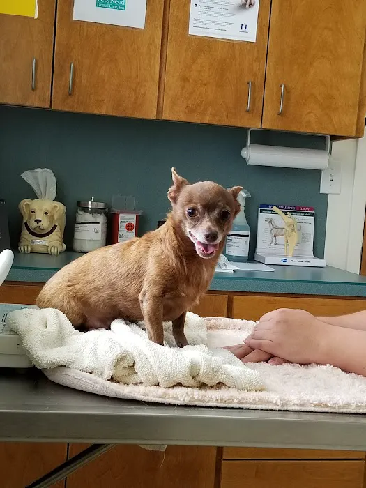 FM 1960 Animal Hospital 12