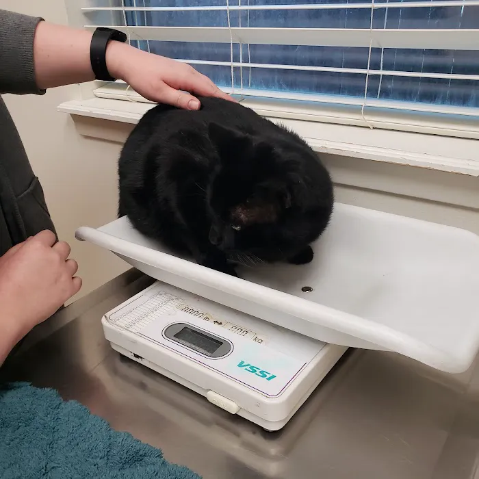 FM 1960 Animal Hospital 12