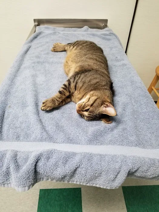 Abbott Animal Clinic 6