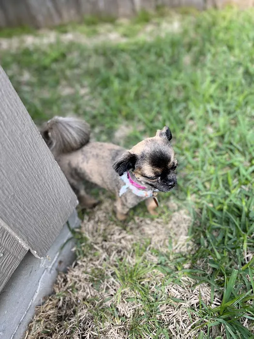 Abbott Animal Clinic 4