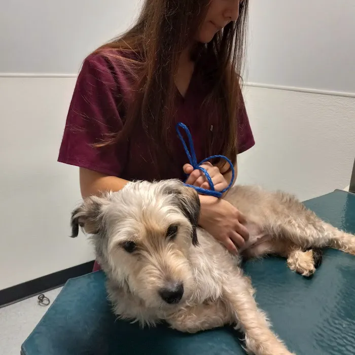 Abbott Animal Clinic 5