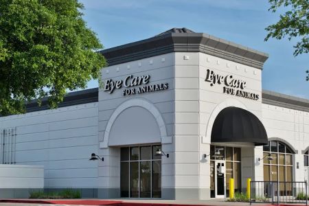 Eye Care for Animals