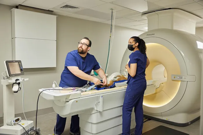 Sage Veterinary Imaging - Spring 12