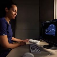 Sage Veterinary Imaging - Spring ico