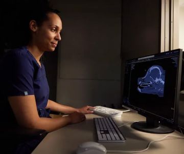 Sage Veterinary Imaging - Spring