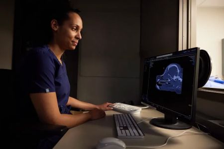 Sage Veterinary Imaging - Spring