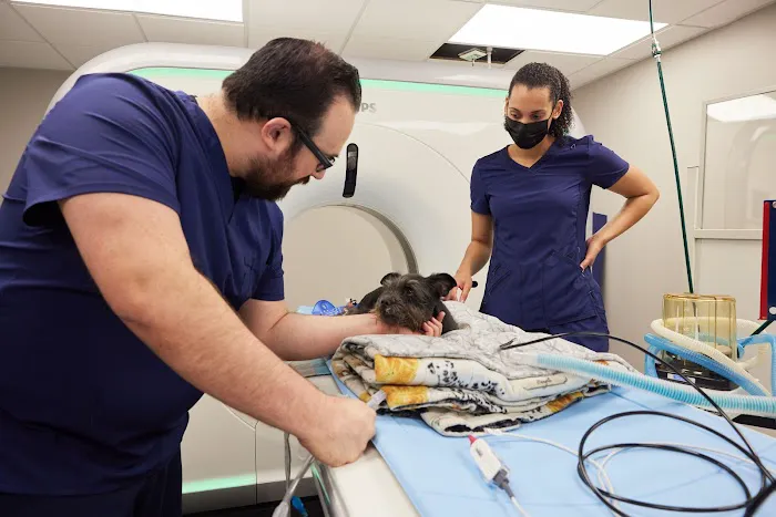 Sage Veterinary Imaging - Spring 12