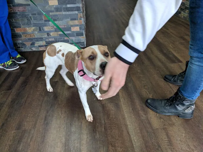 Aldine Westfield Animal Clinic 2