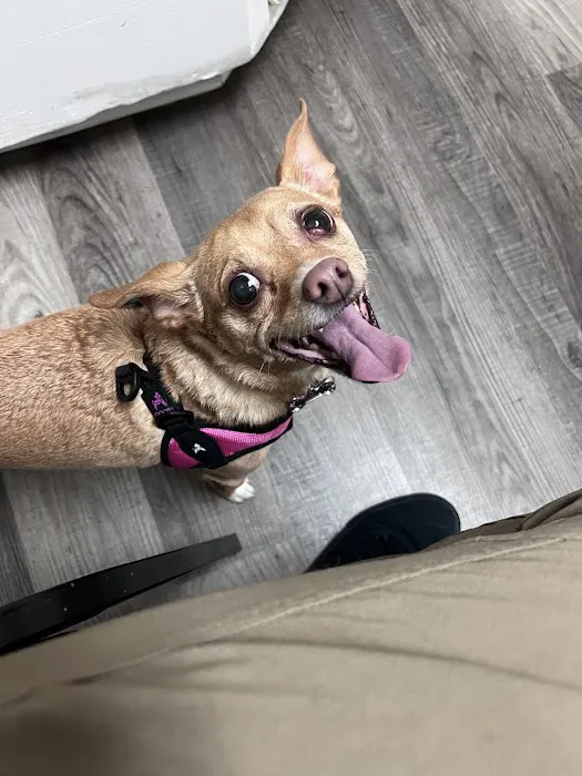 Cypresswood Animal Clinic 7