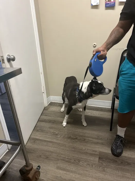 Cypresswood Animal Clinic 4