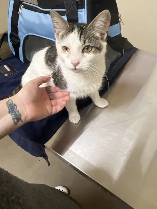 Vetco Total Care Animal Hospital 2