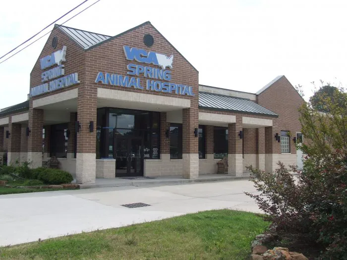 VCA Spring Animal Hospital 2