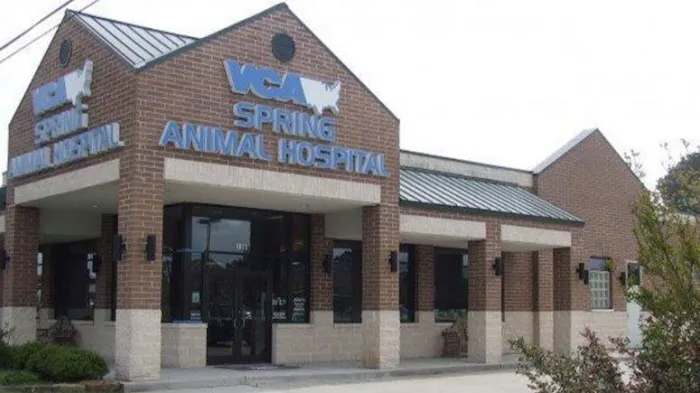 VCA Spring Animal Hospital 1