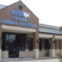 VCA Spring Animal Hospital ico
