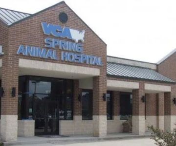 VCA Spring Animal Hospital