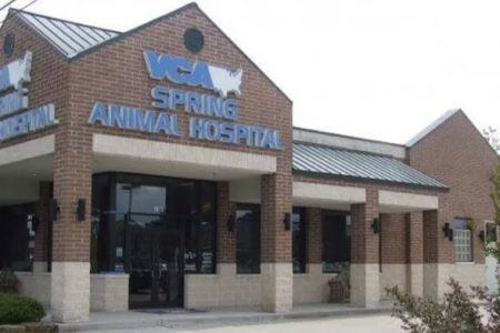 VCA Spring Animal Hospital