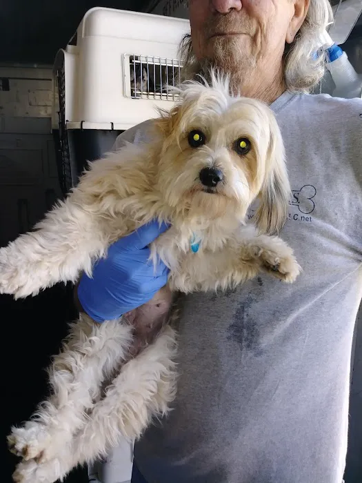 North Houston Veterinary Ophthalmology 6