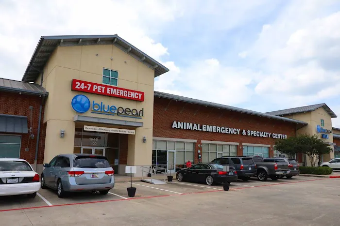 BluePearl Pet Hospital Spring 1