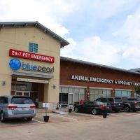 BluePearl Pet Hospital Spring ico