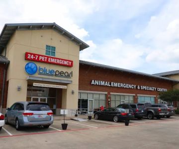 BluePearl Pet Hospital Spring