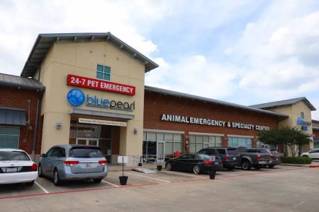 BluePearl Pet Hospital Spring