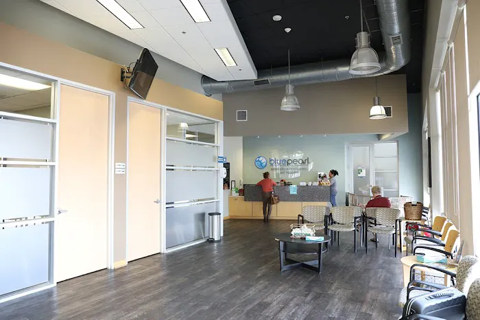 BluePearl Pet Hospital Spring 2