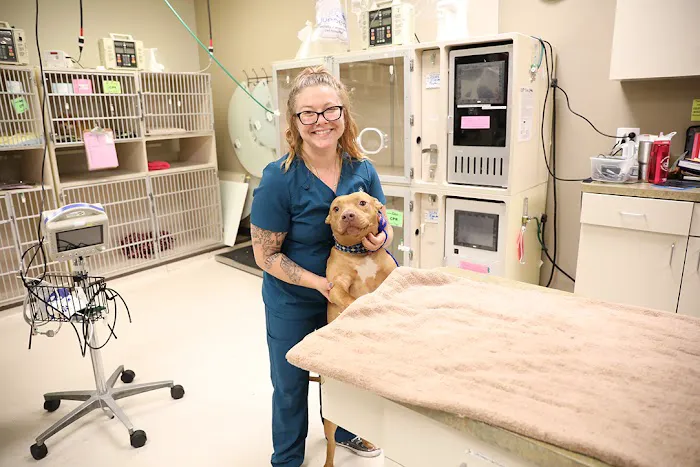 BluePearl Pet Hospital Spring 3