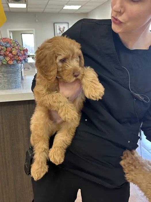 Enchanted Oaks Animal Hospital 12