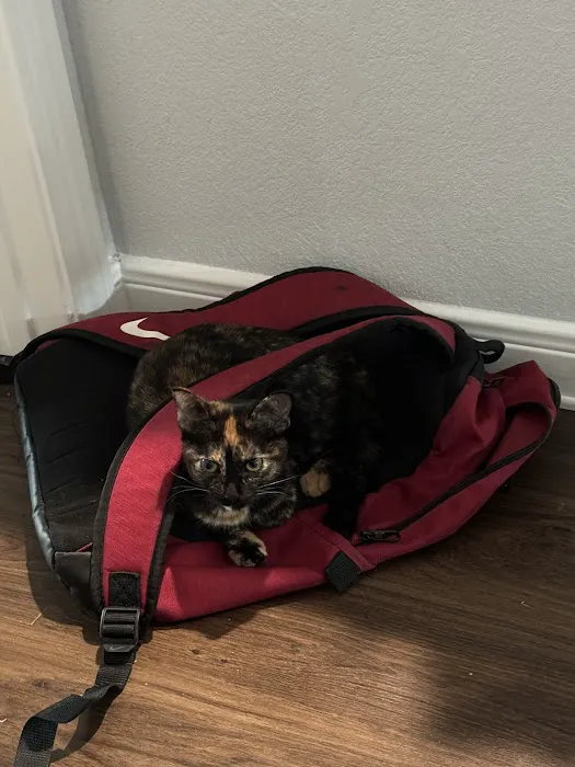 Companion Animal Hospital 12