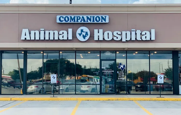 Companion Animal Hospital 12