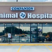 Companion Animal Hospital ico