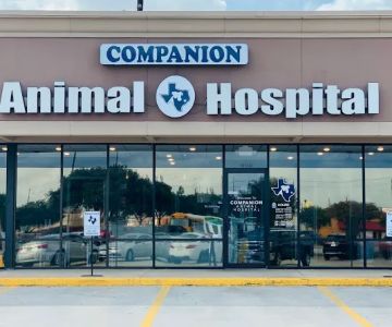Companion Animal Hospital