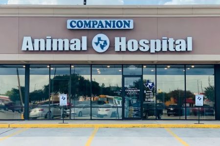 Companion Animal Hospital