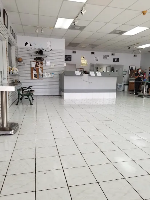 Springwood Veterinary Hospital 4