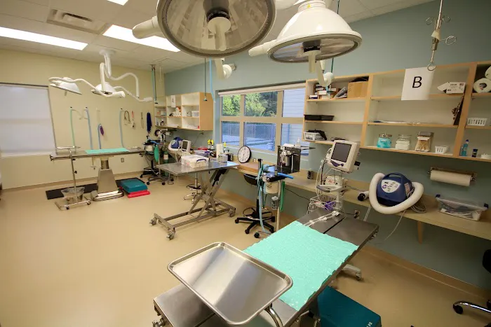 Stuebner Airline Veterinary Hospital 12